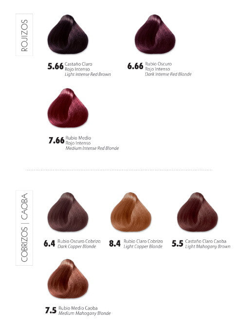 Carta De Colores Splendore 43 Tonos Pelo Sintetico - Mav